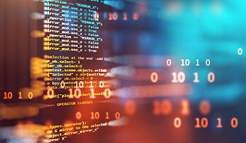 Yazılım varlık yönetimi