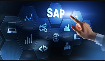 sap ne için kullanılır
