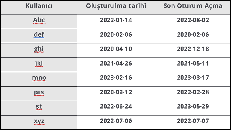 Kullanıcının gerçekten SAP'ye erişmesi gerekiyor mu?