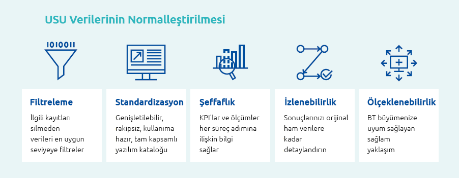 Bt Varlık Yönetimi verilerin normalleştirilmesi