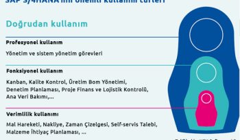 sap s4hananin önemli kullanım türleri