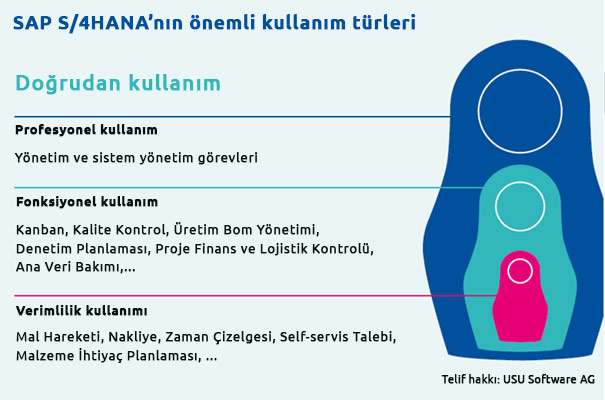 sap s4hananin önemli kullanım türleri 